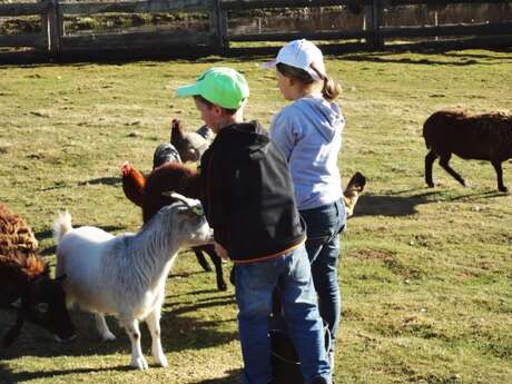 Mini-ferme & mini-kermesse - Miellerie la Grange aux Abeilles