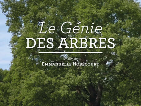 Le génie des arbres : projection - Mois du film documentaire