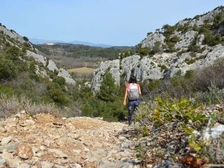 MALEMORT-DU-COMTAT - Combe du diable