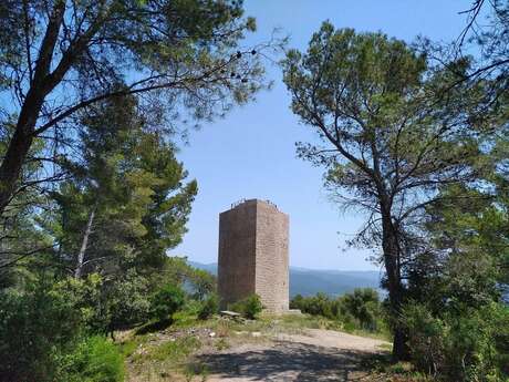 Plateau de Thèmes