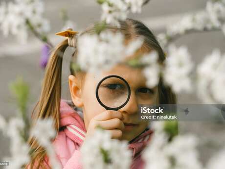 Soirée chasse au trésor
