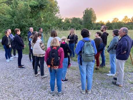 Les secrets de la nuit : balade crépusculaire avec Opus-CPIE