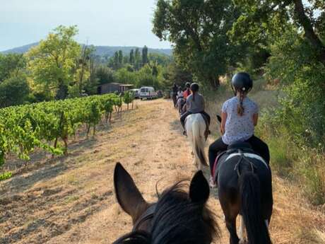 Randonnées, cours et stages du Club De Flicka