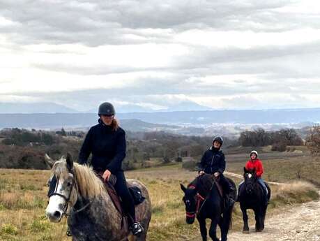 Randonnée équestre d'hiver