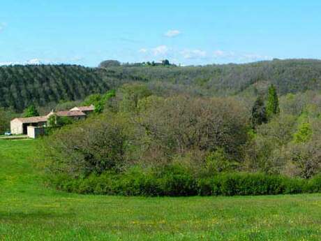 Gîte Vert