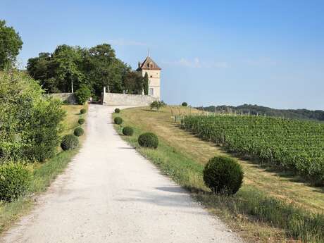 Château Labastide Orliac