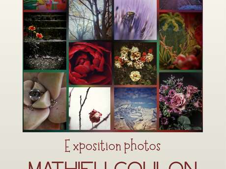 Exposition photos