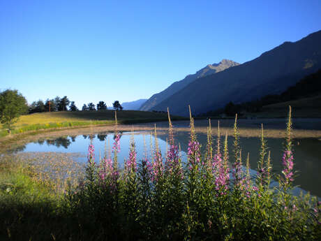 Aire de pique-nique du Lac de Barbeyroux