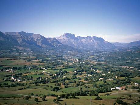 Woodland discovery trail