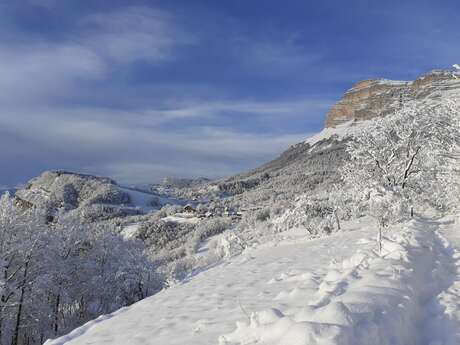 Randonnée découverte de la Chartreuse