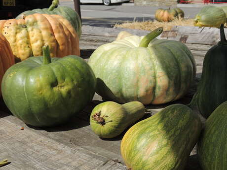 Foire aux courges