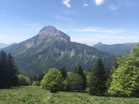 5 - Le Roc d'Arguille en trail