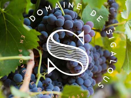 Domaine de Sigalous