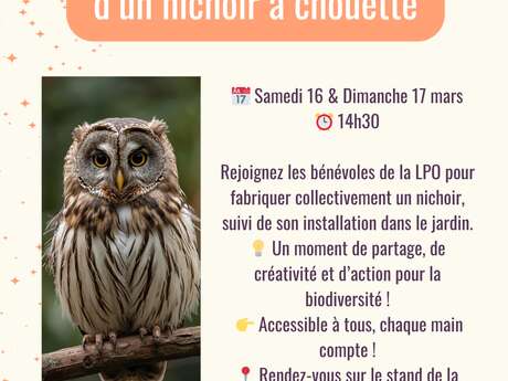 Atelier - Construction collective d’un nichoir à chouette