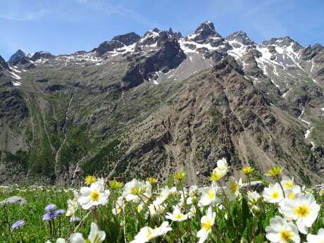 SENTIER THÉMATIQUE : Sur les traces des bergers