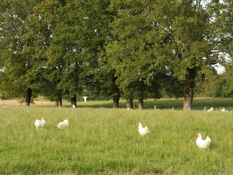 Ferme Bezentet