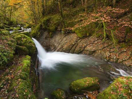 Les gorges du Guiers Mort