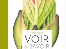 Parenthèse du mardi "Rencontre avec l’auteure-illustratrice, Fanny Pageaud, en résidence chez éclat de lire"