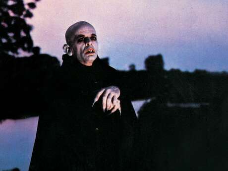 Les projections de L'Institut de l'Image -Werner Herzog