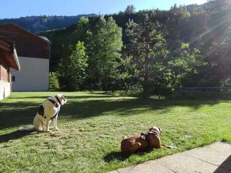 Villey-Molinatti Appartement le Palatin N°2