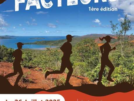 Raid des facteurs