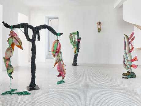 Exposition « Fuegophillia », d’Amandine Guruceaga