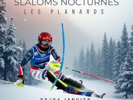 Coupe d'Europe de ski alpin