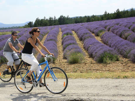 23 - The Plateau de Sault by bike