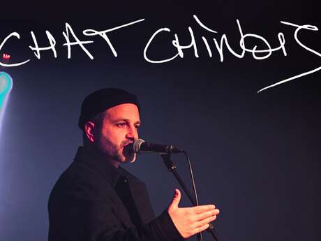 ARTEM EFFECTS #17 - CHAT CHINOIS