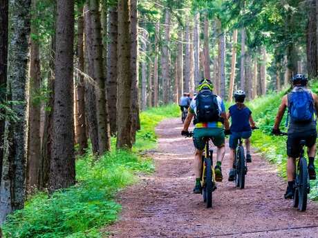 Begeleide mountainbiketochten Rustine Bike School