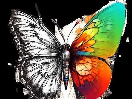 La Farlède se régénère – Soirée spéciale « Journée mondiale pour le climat »