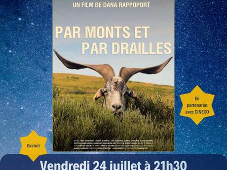 Projection en plein air