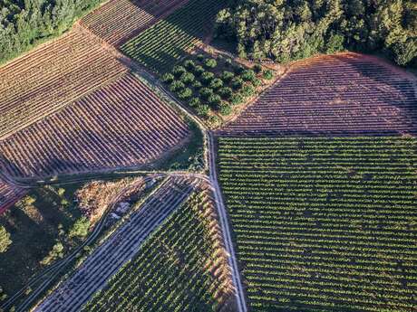 Montgolfière Luberon Vol-Terre