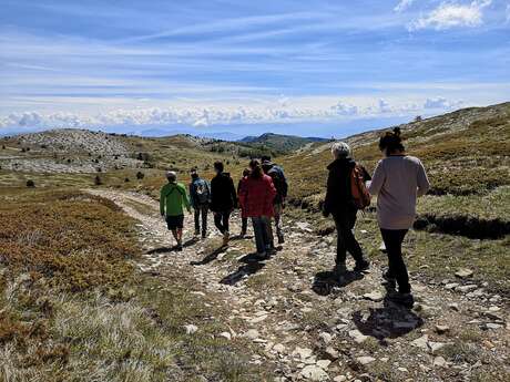 Sur les chemins des plantes de la Montagne de Lure