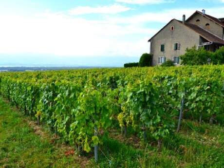 Les Chambres d'hôtes de Sylvie