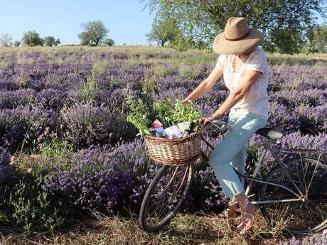 Route Saveurs & Senteurs