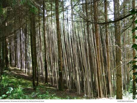 Grass artists - Landart workshop for children