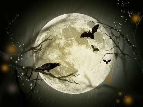 Halloween day au camping Val Saint-Jean