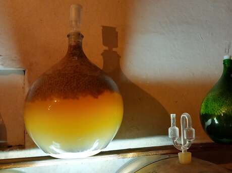 Loïc MAHE, vigneron