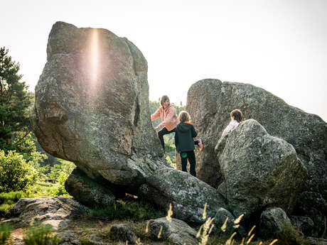 Sentier d'interprétation de la Tortue - boucle de 700m