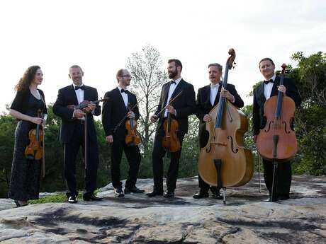 Kammerphilharmonie Köln im Konzert Kammerphilharmonie Köln im Konzert