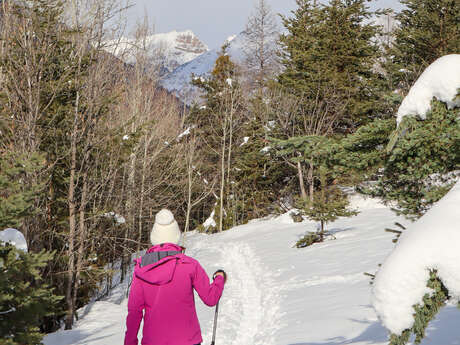 Au fil du canal de Villard-Saint-Pancrace à pieds et en raquettes