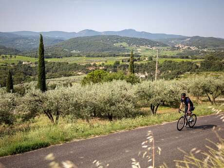 Sortie accompagnée à vélo électrique sur les balcons du Ventoux.