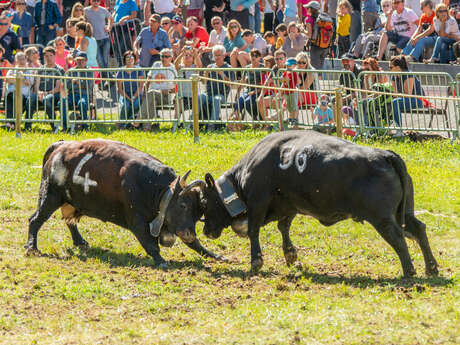 Rencontre des Reines