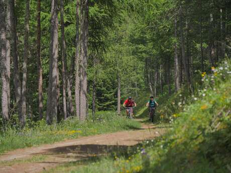 Clot des oiseaux en VTT
