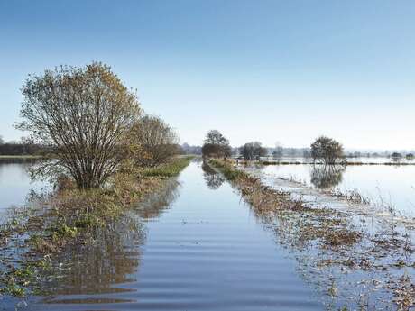 Games and experiments on water and wetlands