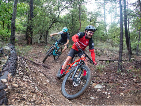 VTT n°5 - Enduro du Ventoux Face sud n°5