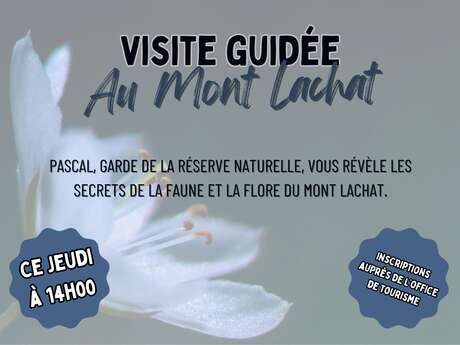 Visite de l'exposition Détails du vivant au Lachat