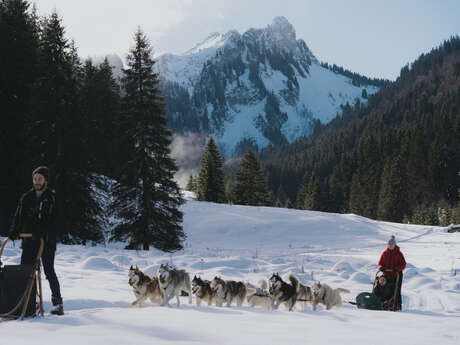 Initiation à la conduite d'attelage