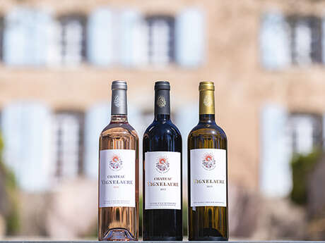 Dans la peau d'un oenologue | Vignobles en Scène